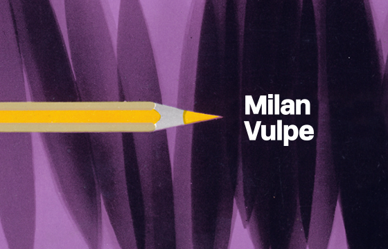 Milan Vulpe